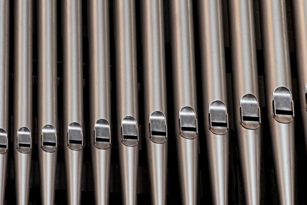 Organ pipes.